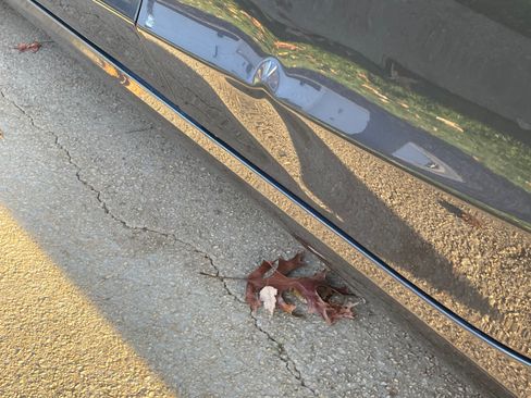 Used 2020 Tesla Model 3 Standard Range Plus image 6