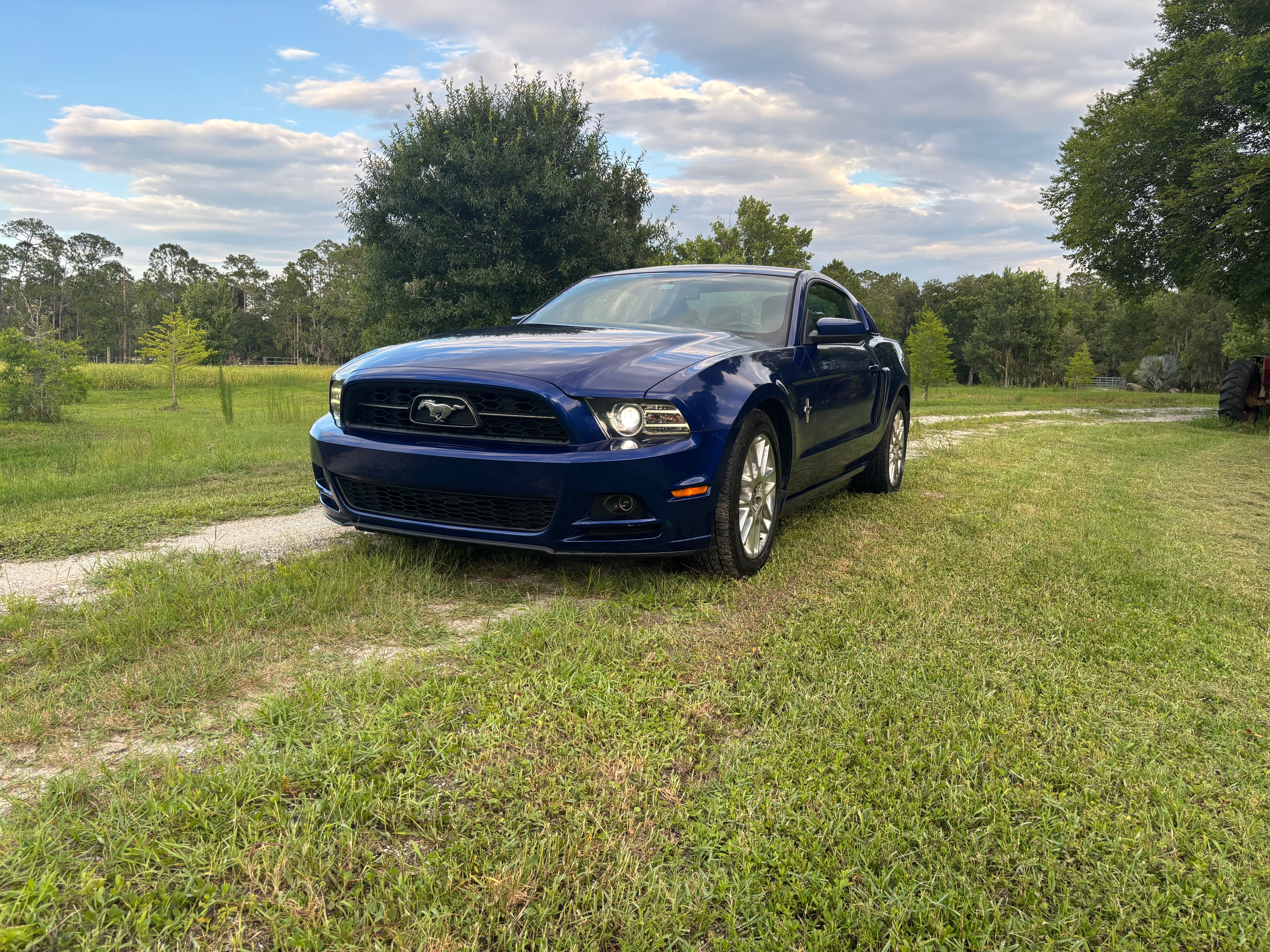 Used 2014 Ford Mustang Premium w/ Equipment Group 202A RWD image 2