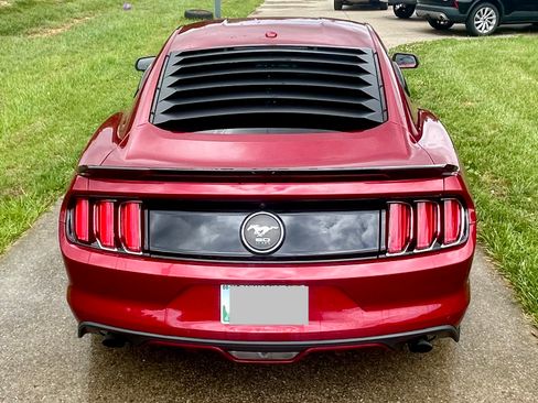 Used 2015 Ford Mustang Premium w/ Equipment Group 201A RWD image 20