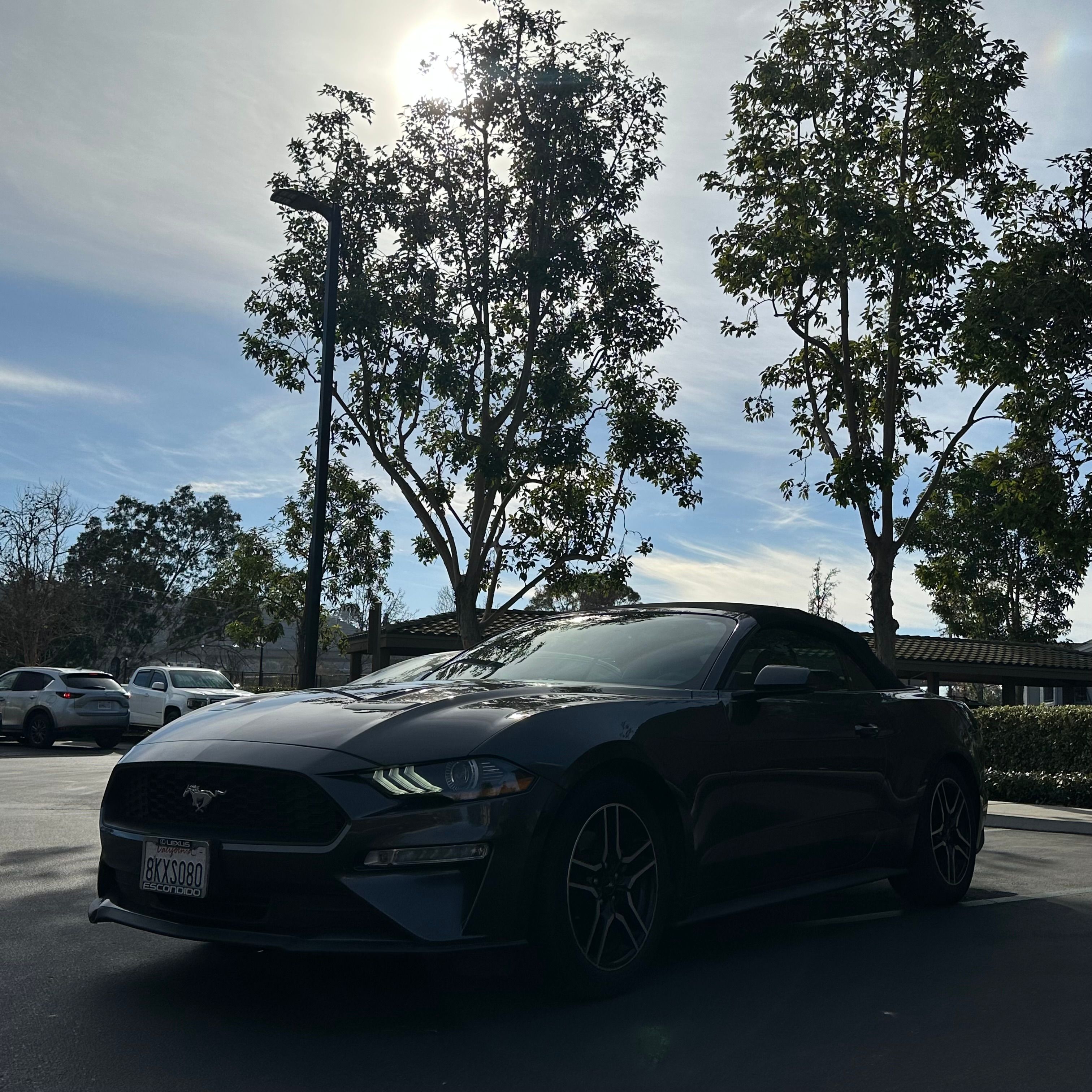 Used 2019 Ford Mustang Premium w/ Equipment Group 201A RWD image 4