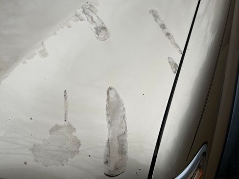 Used 2004 Toyota Tacoma 4x4 Double Cab image 11