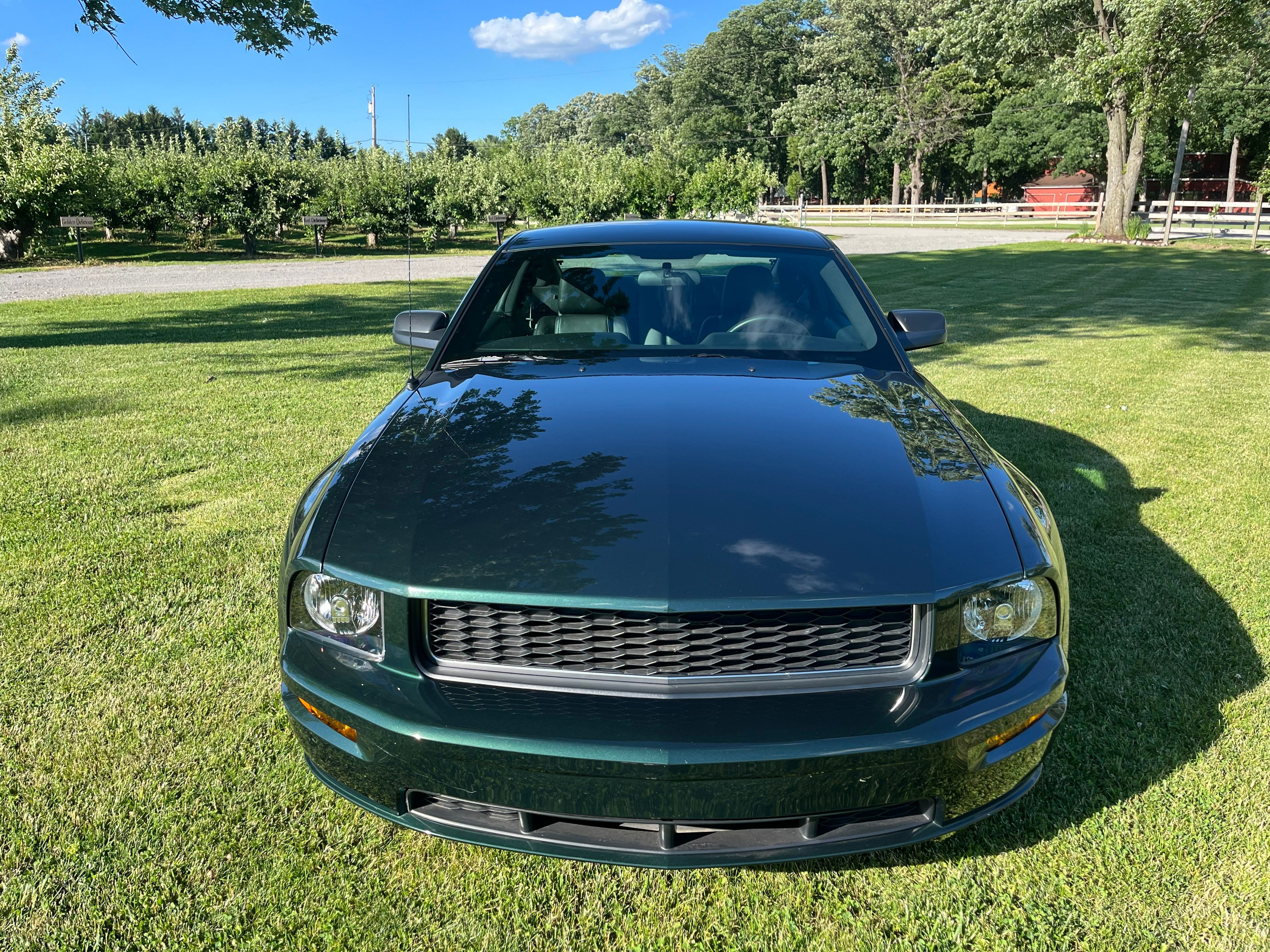 Used 2008 Ford Mustang GT RWD image 4
