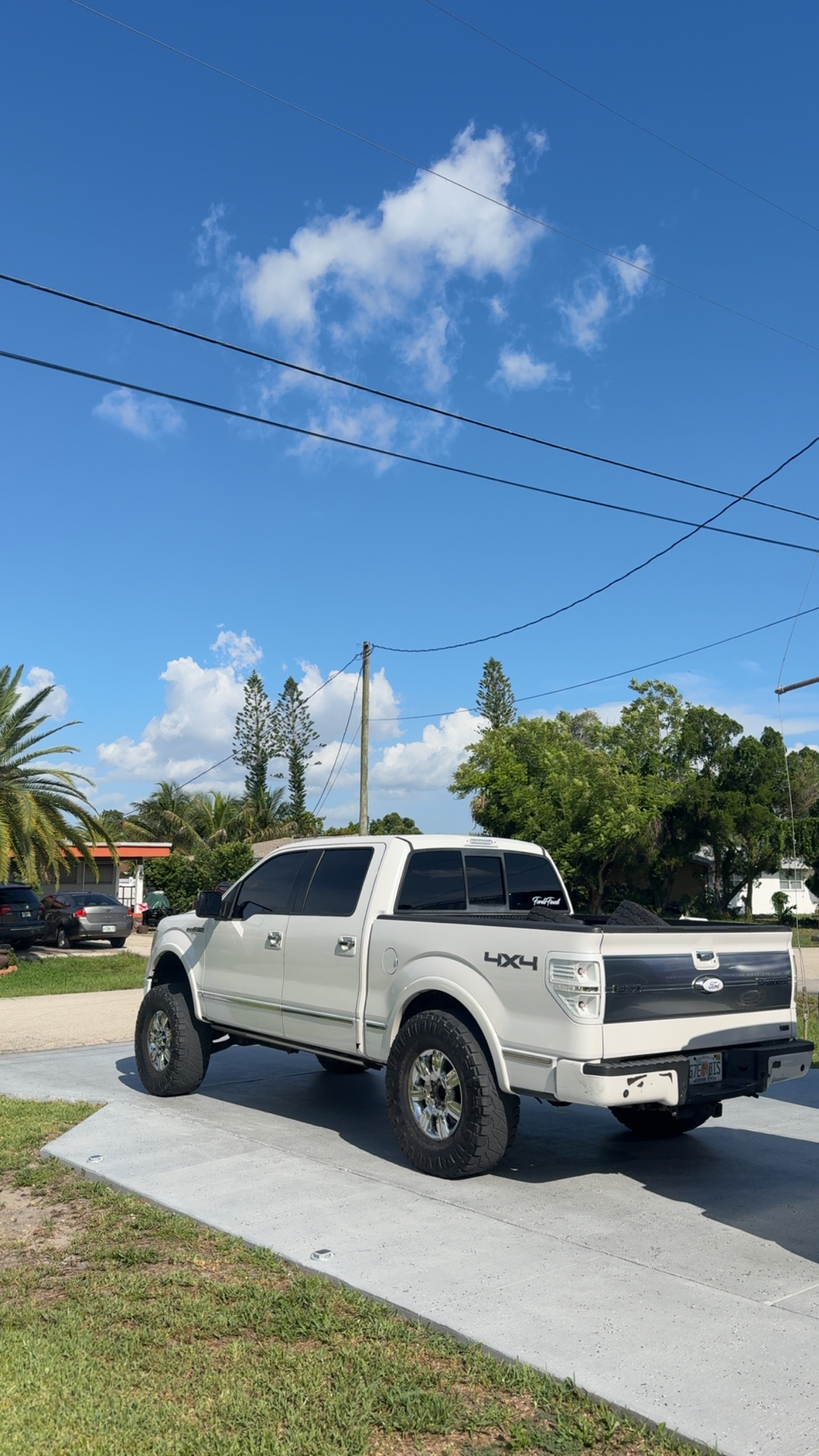 Used 2010 Ford F150 Platinum AWD/4WD image 6