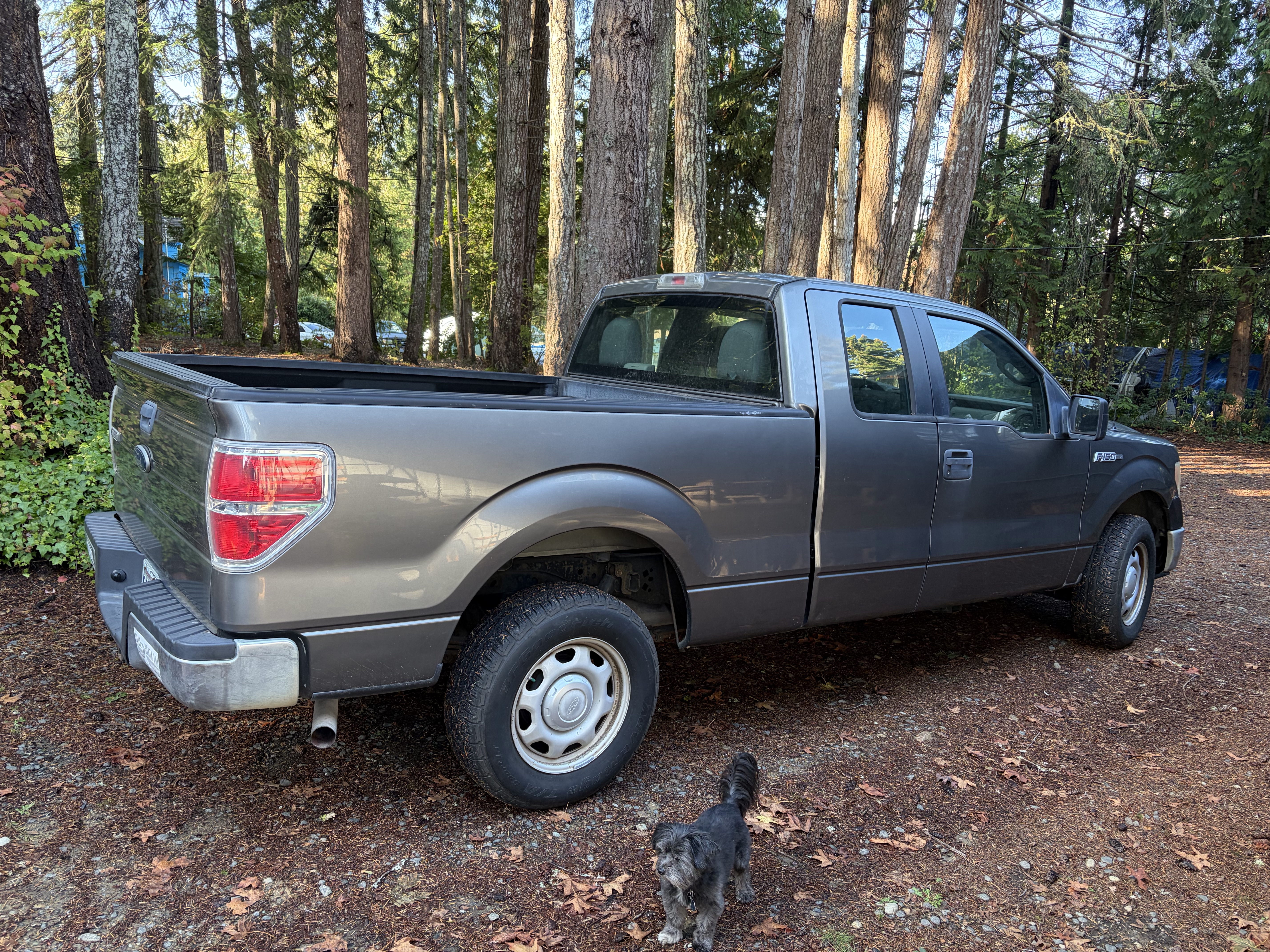 Used 2010 Ford F150 XL RWD image 2