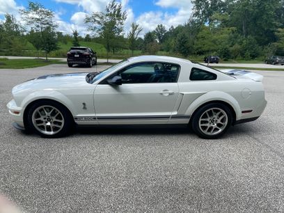 Used 2008 Ford Mustang Shelby GT500