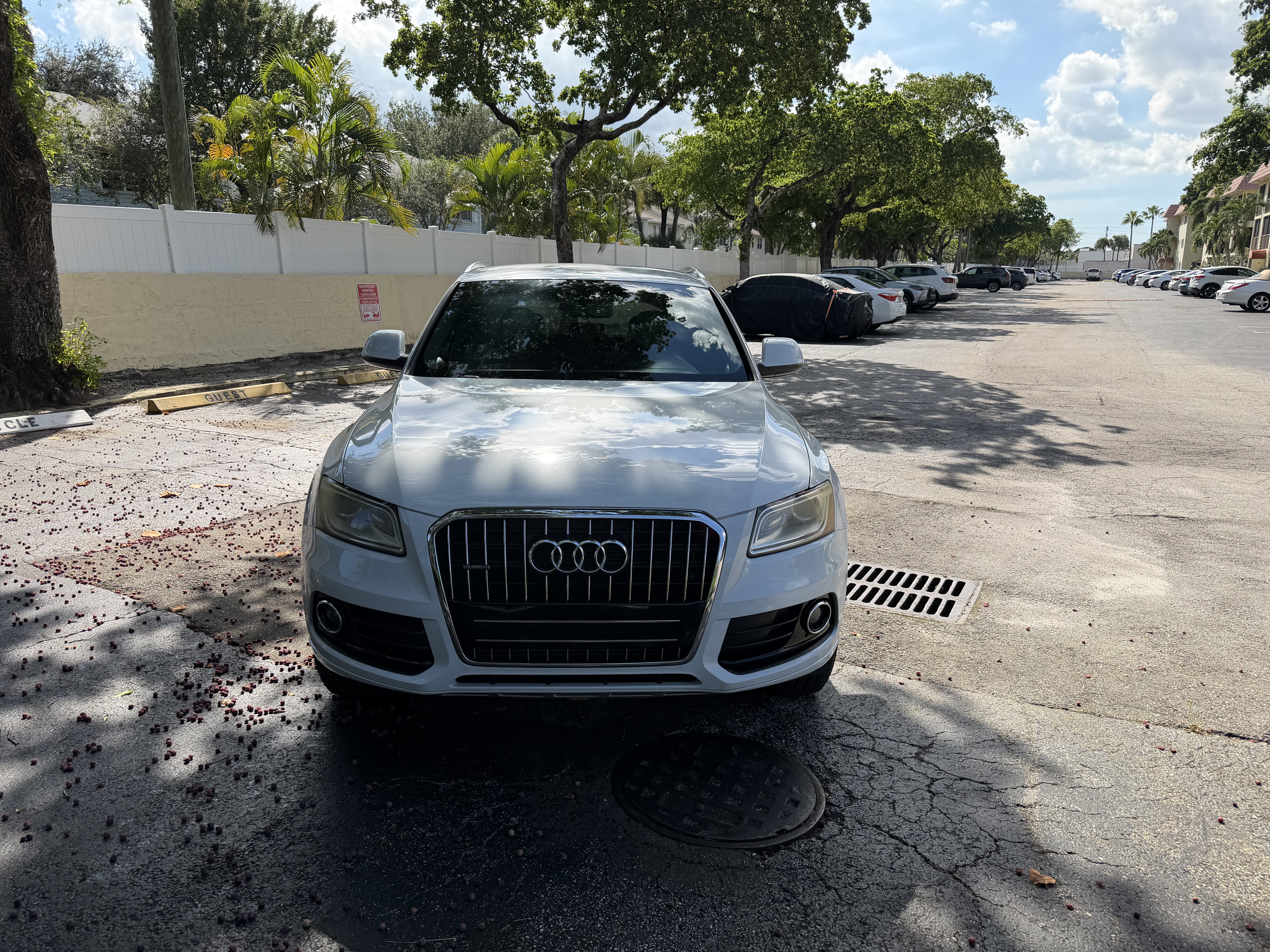 Used 2014 Audi Q5 2.0T Premium w/ Lighting Package AWD/4WD image 1