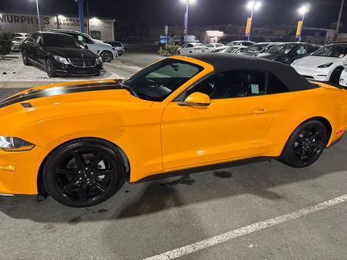 Used 2019 Ford Mustang Premium w/ Equipment Group 201A image 2