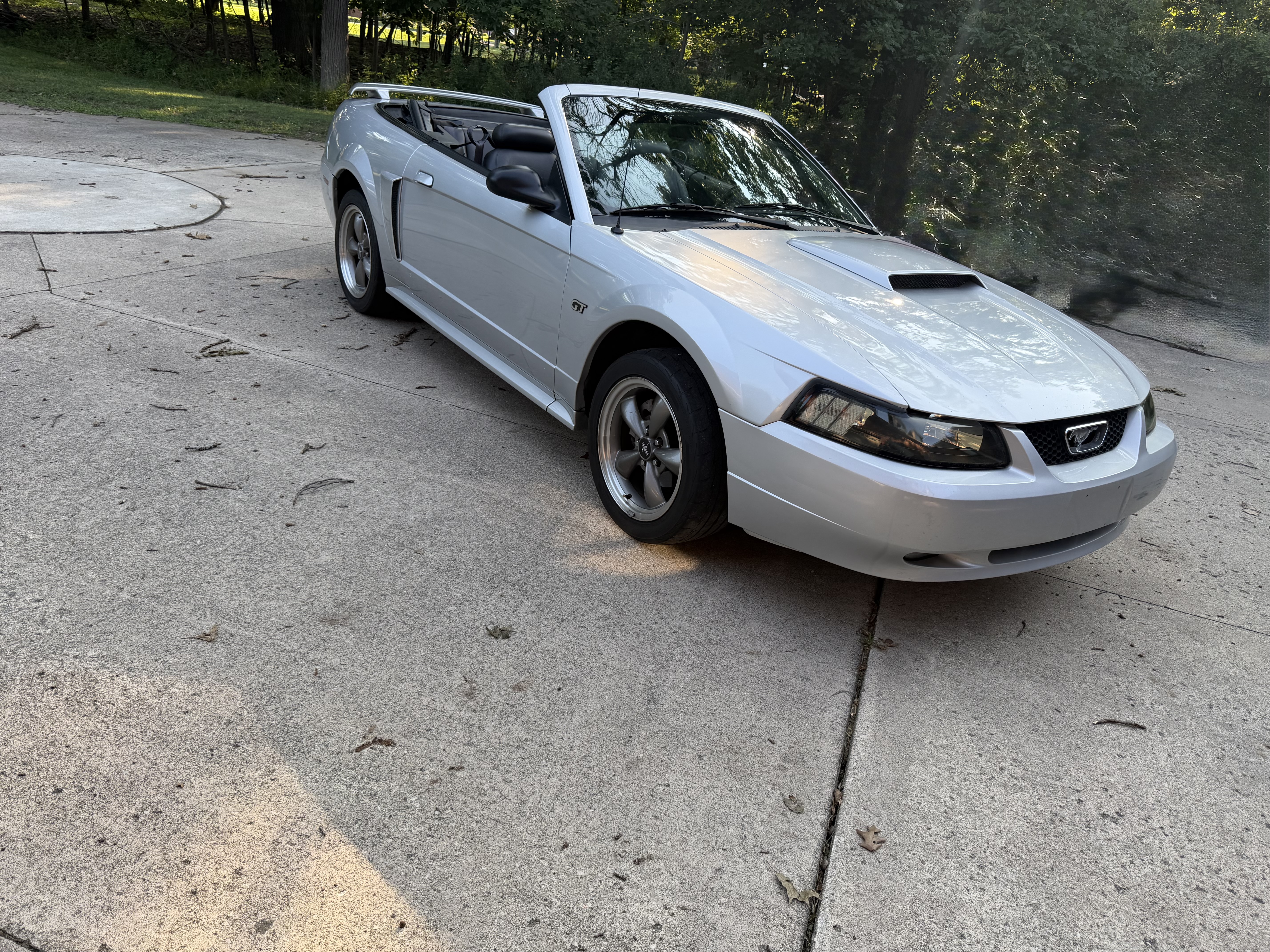 Used 2003 Ford Mustang GT Premium RWD image 1