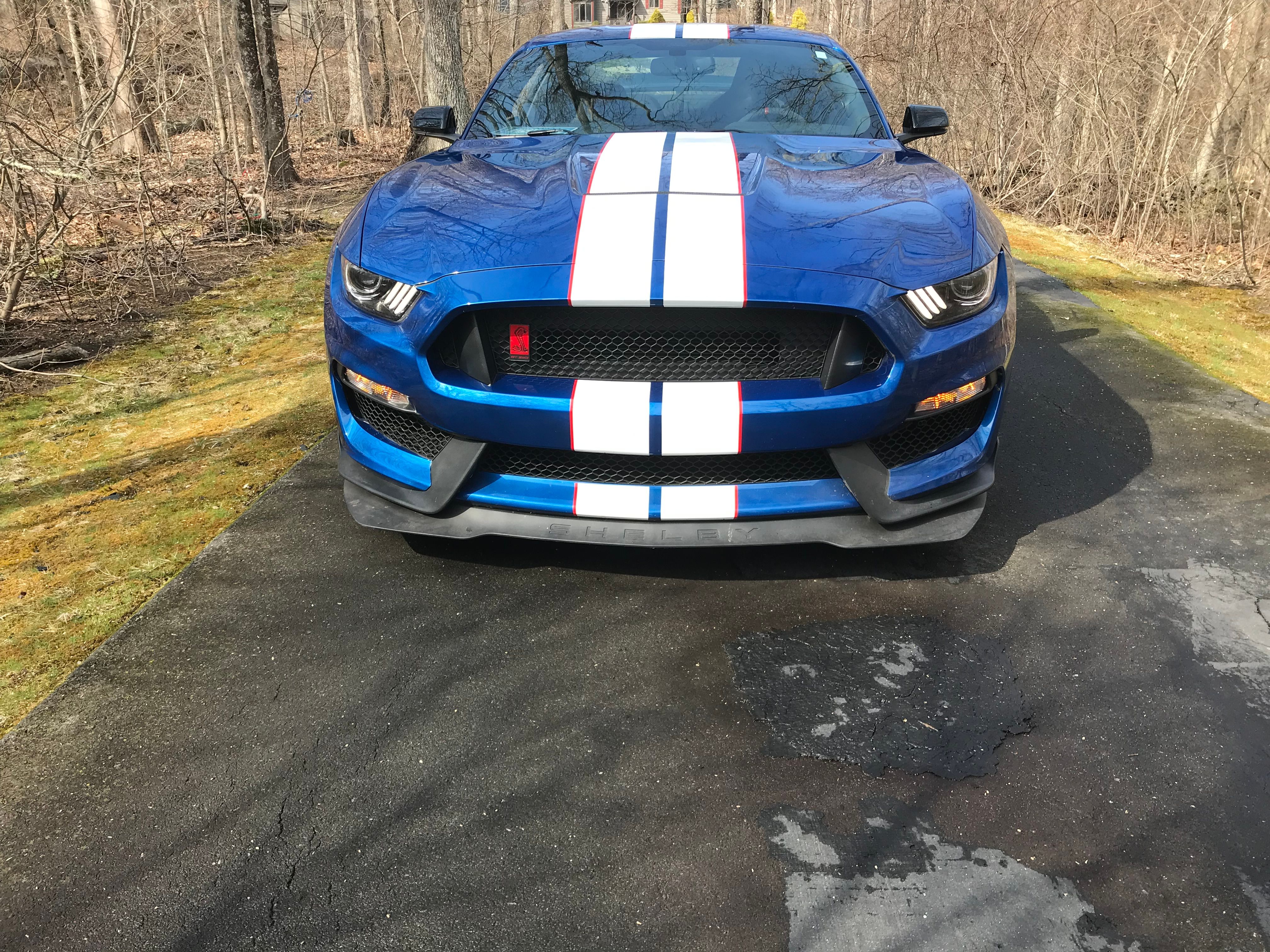 Used 2017 Ford Mustang Shelby GT350R w/ GT350R Equipment Group 920A RWD image 18