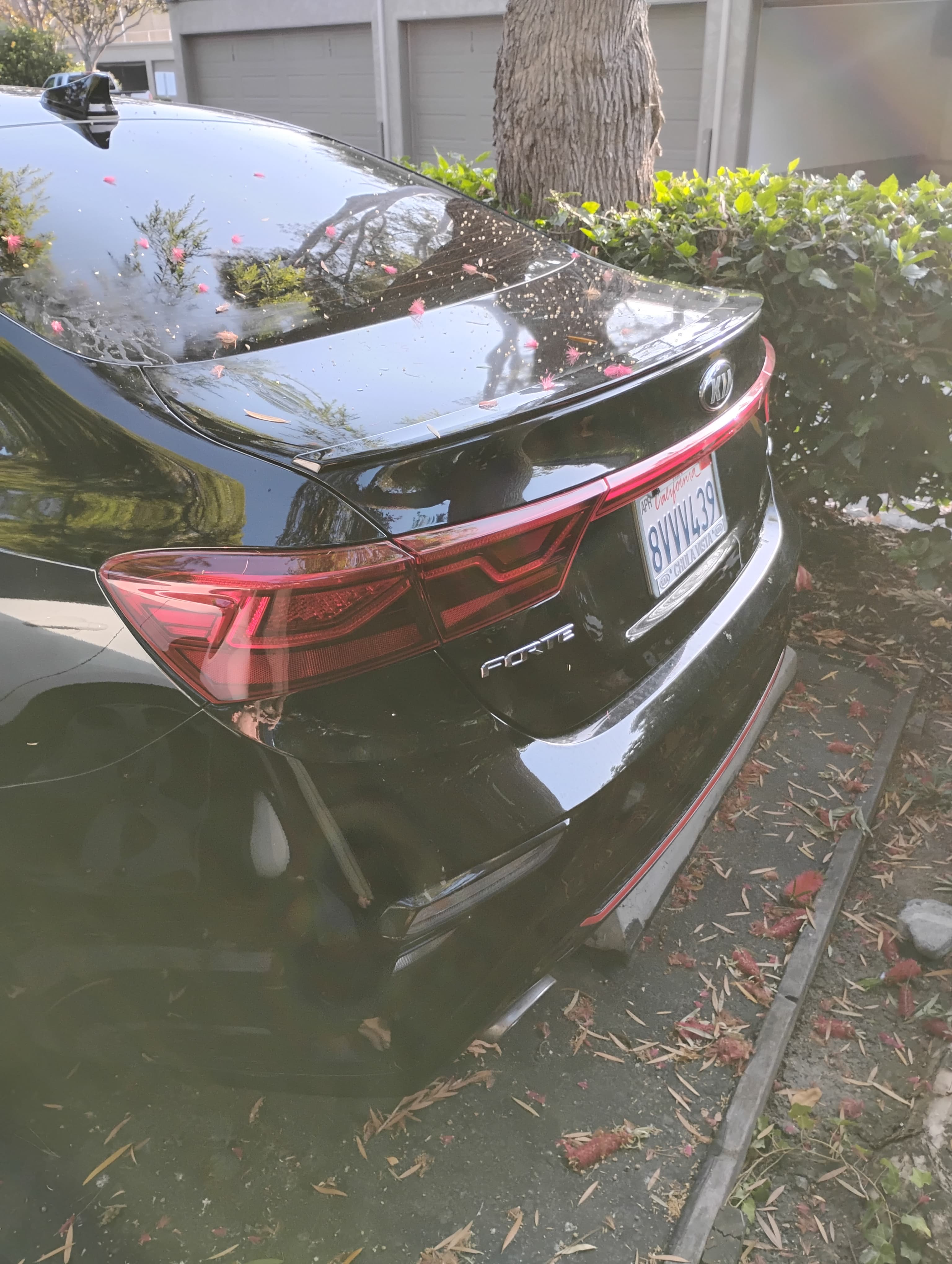Used 2021 Kia Forte GT w/ GT2 Package FWD image 5
