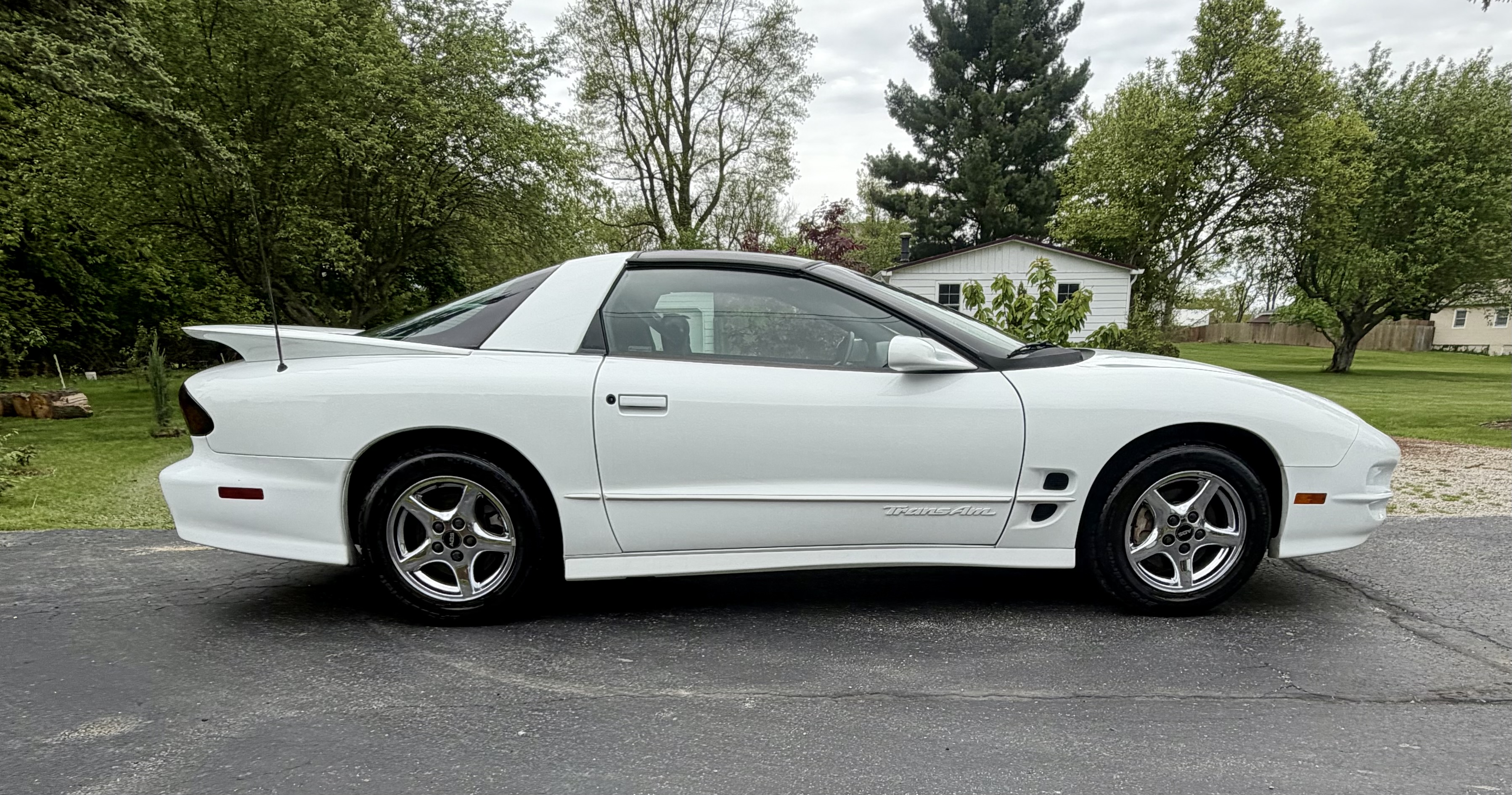 Used 2000 Pontiac Firebird Formula w/ Security Pkg RWD image 6