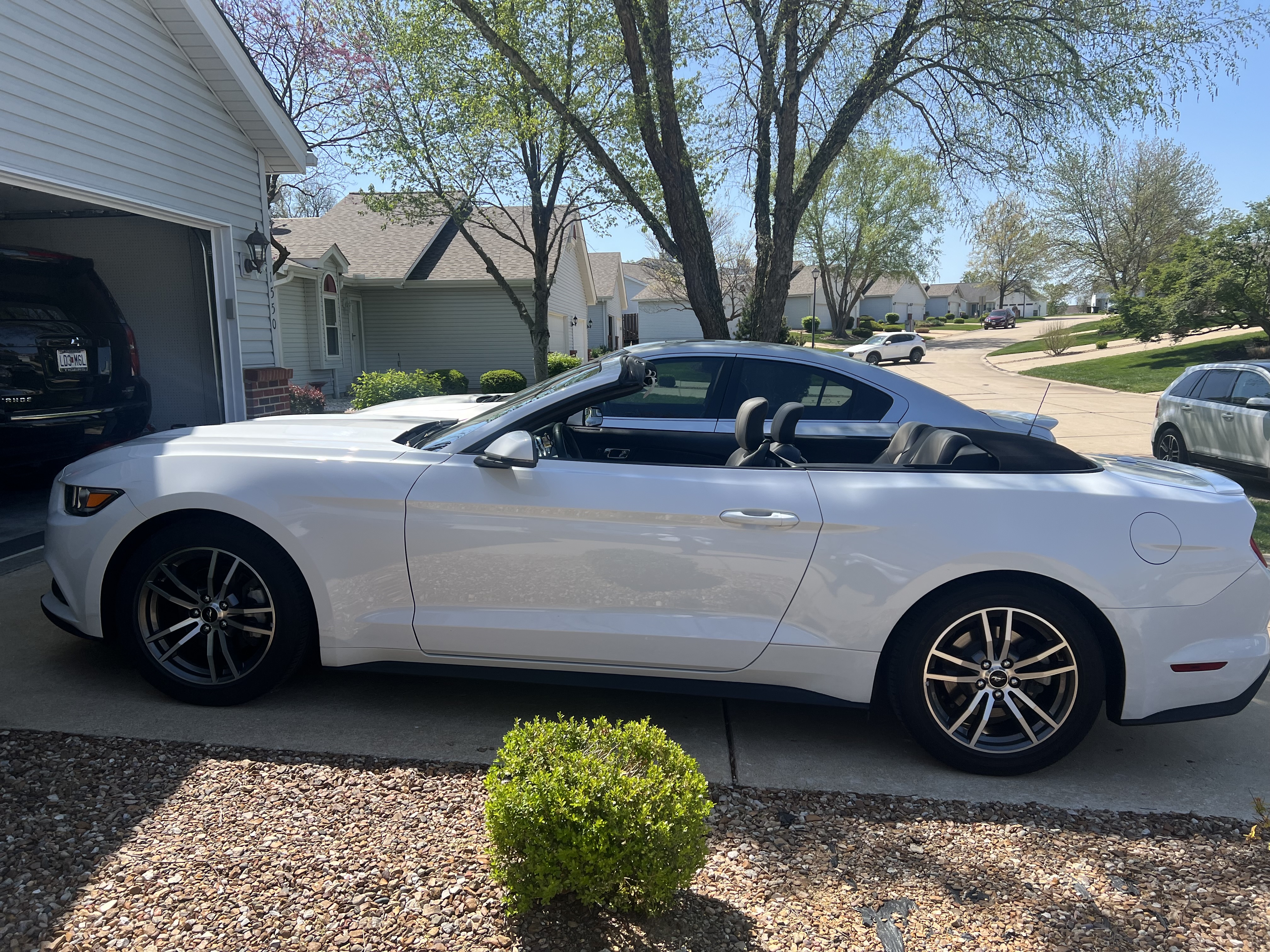 Used 2016 Ford Mustang Premium RWD image 4