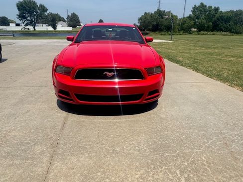 Used 2014 Ford Mustang Premium w/ Equipment Group 201A image 4