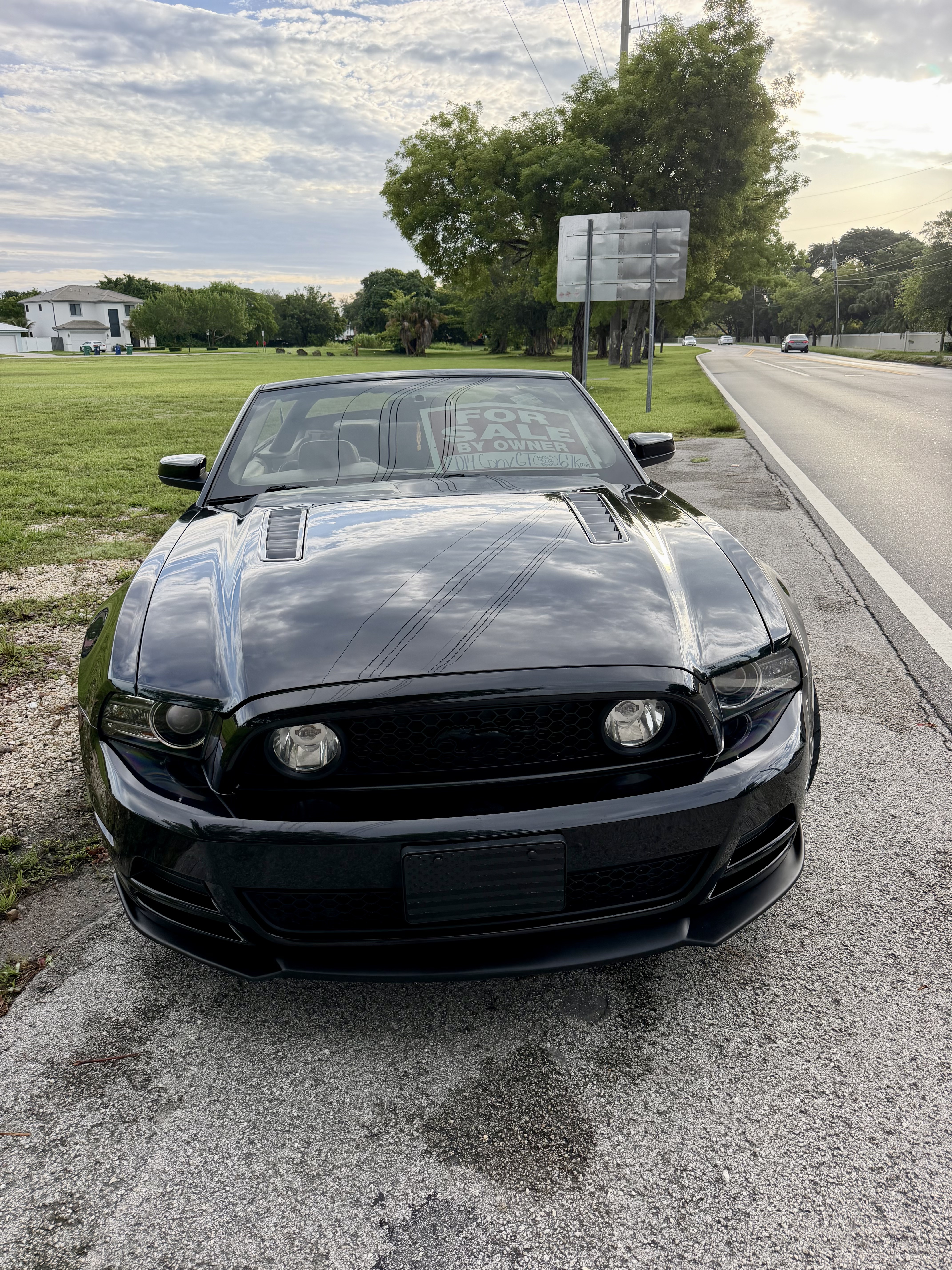 Used 2014 Ford Mustang GT Premium w/ Comfort Package RWD image 1