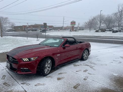 Used 2015 Ford Mustang GT Premium w/ Equipment Group 401A image 5