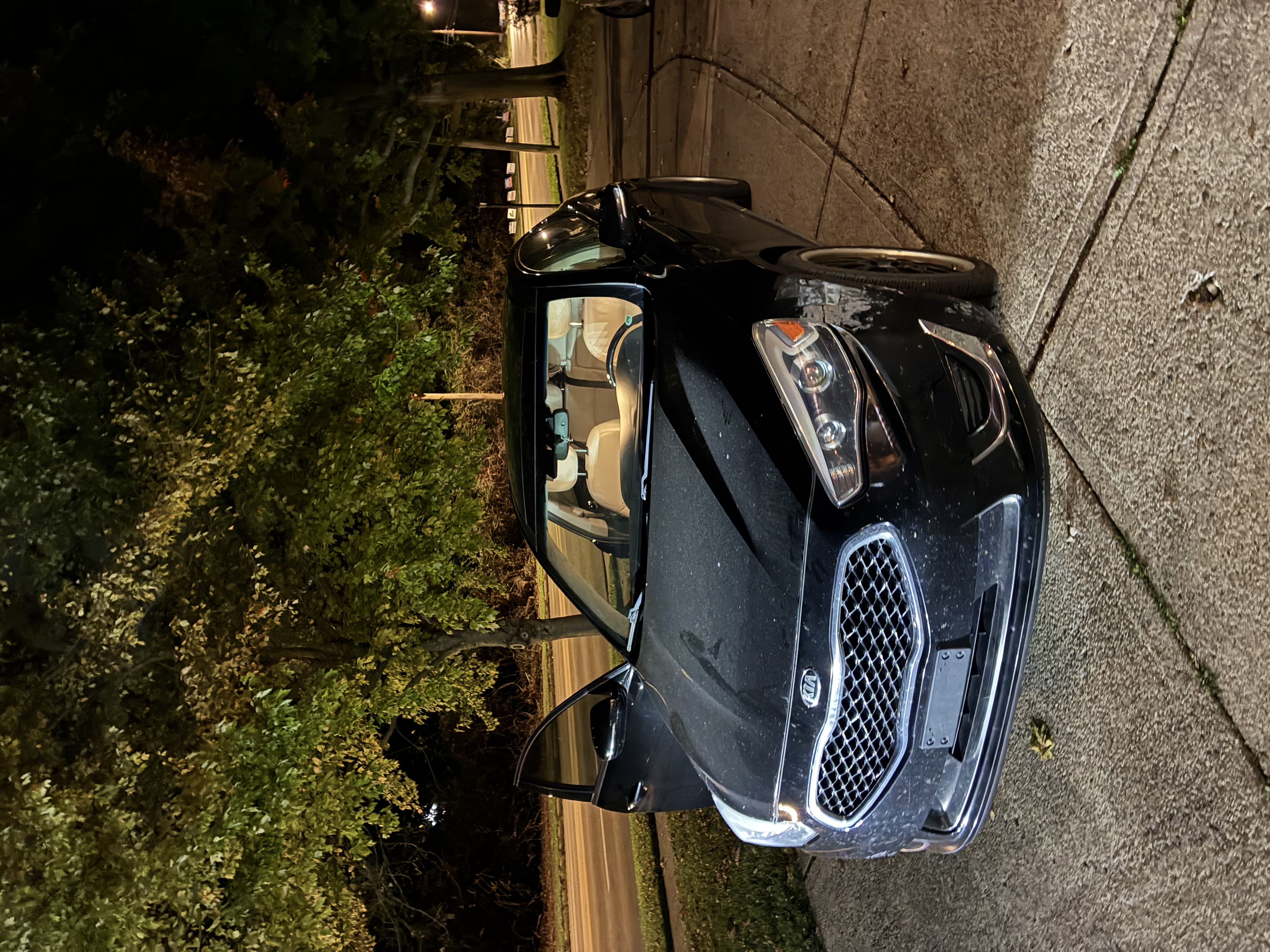 Used 2014 Kia Cadenza Limited FWD image 5