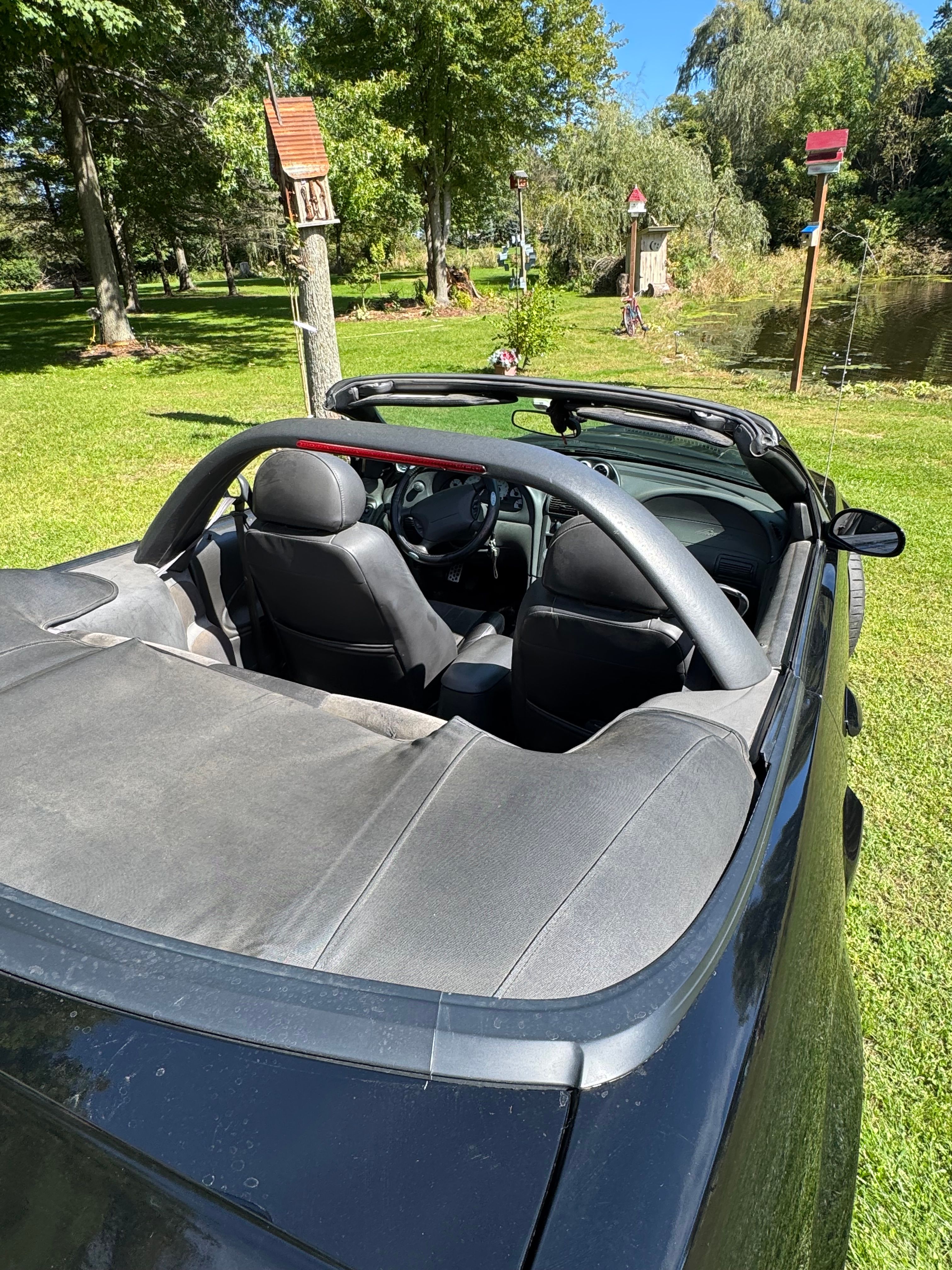 Used 2004 Ford Mustang Cobra RWD image 10
