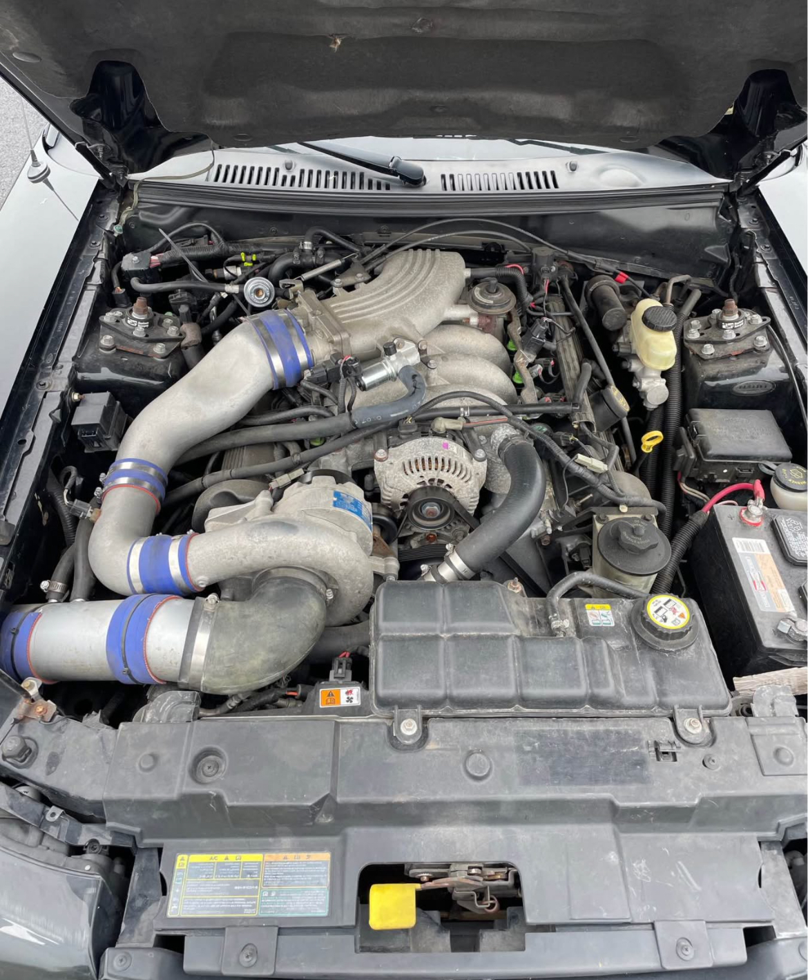 Used 2001 Ford Mustang GT RWD image 4