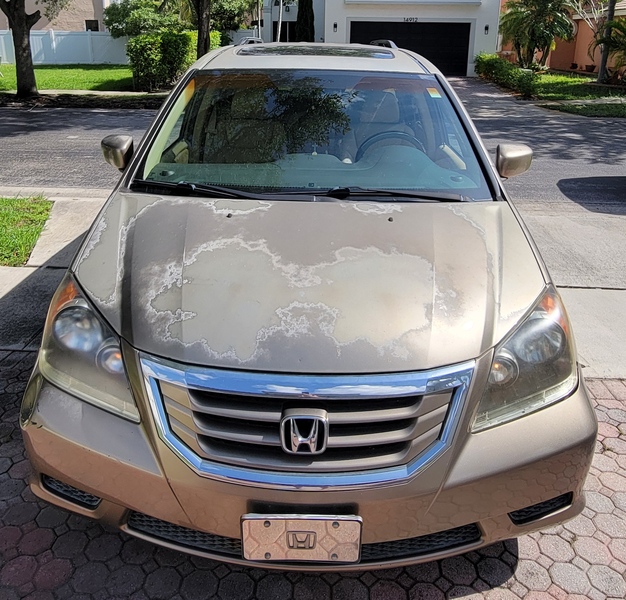Used 2008 Honda Odyssey EX-L image 8
