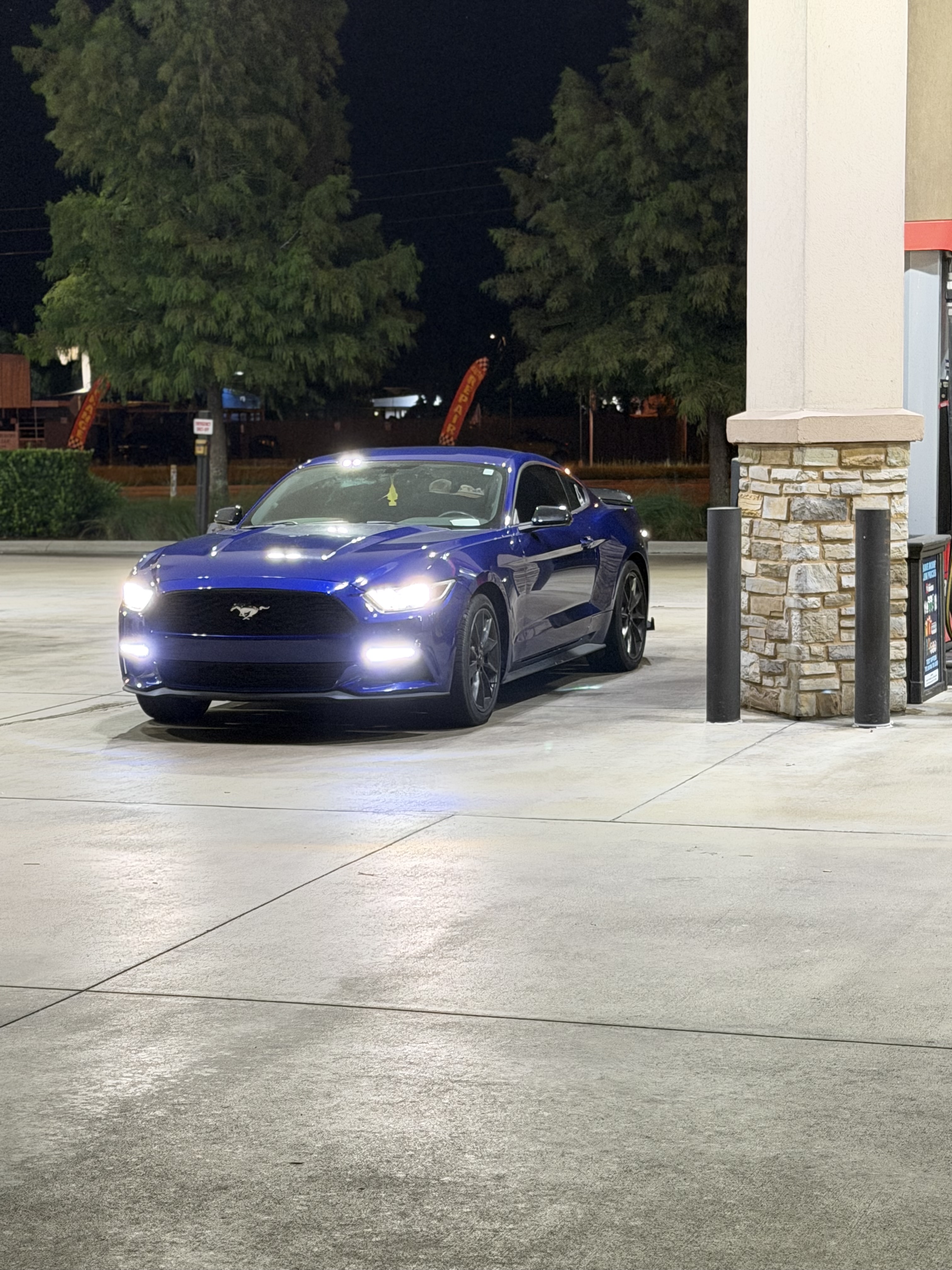 Used 2016 Ford Mustang Coupe w/ Interior & Wheel Package RWD image 2