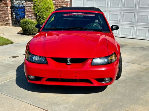 Used 1999 Ford Mustang Cobra RWD image 5