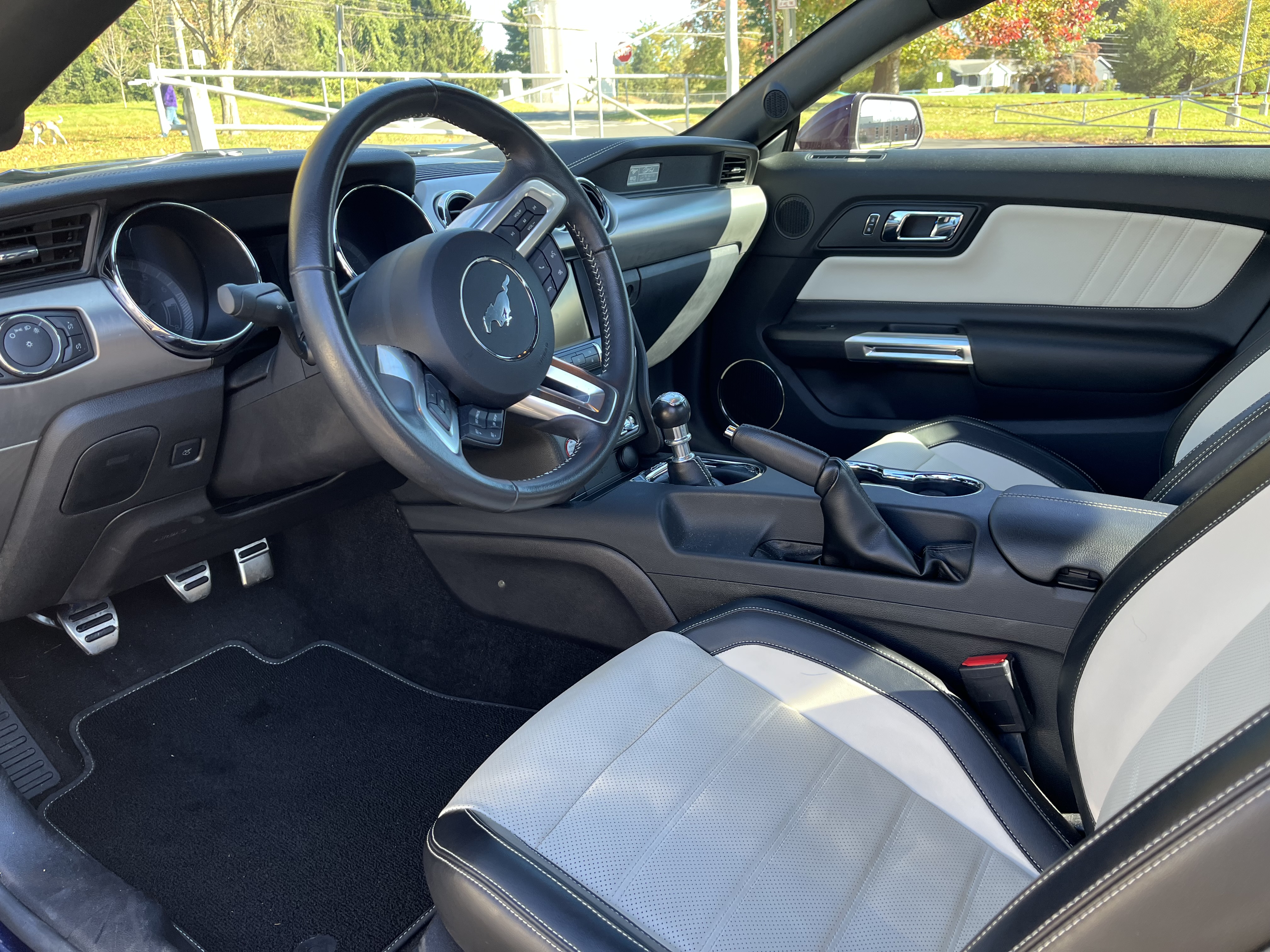 Used 2015 Ford Mustang 50 Years RWD image 23