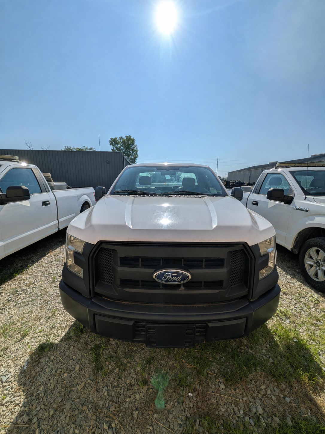 Used 2017 Ford F150 XL w/ Equipment Group 101A Mid RWD image 4