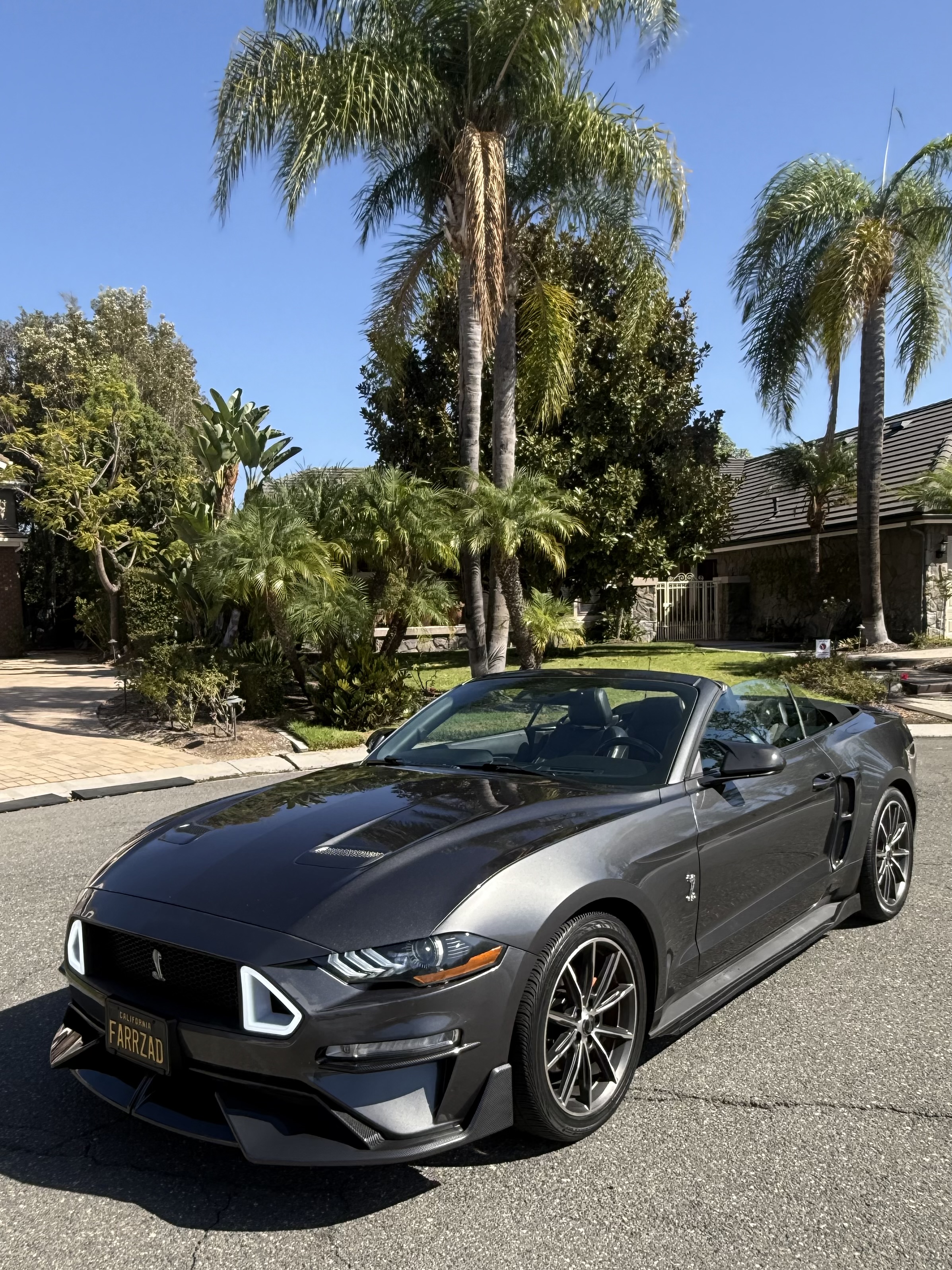 Used 2019 Ford Mustang Premium w/ Equipment Group 201A RWD image 1