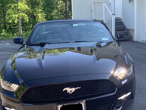 Used 2016 Ford Mustang Premium image 6