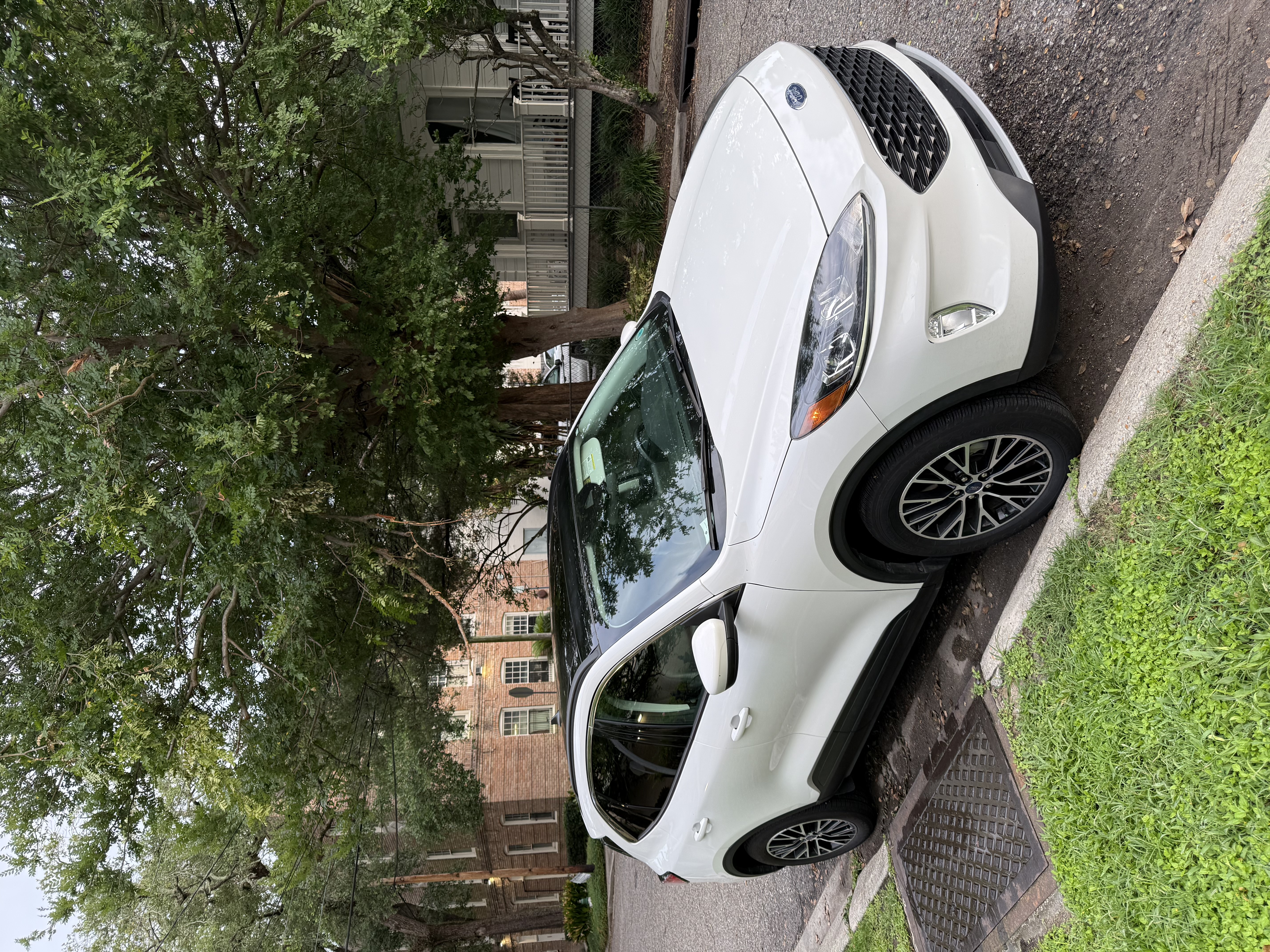 Used 2022 Ford Escape SEL w/ Technology Package FWD image 4