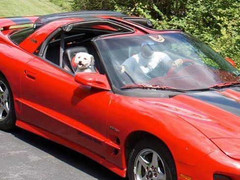 Used 1998 Pontiac Firebird Formula w/ Security Pkg image 4