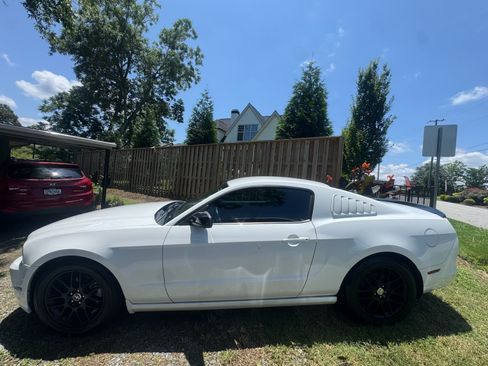 Used 2014 Ford Mustang Coupe w/ Equipment Group 102A image 10