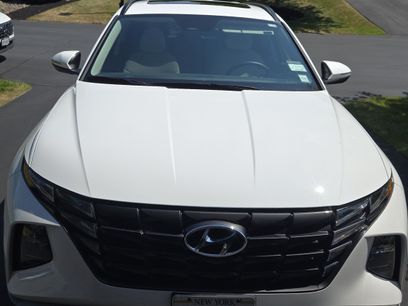 Used 2024 Hyundai Tucson SEL w/ Convenience Package