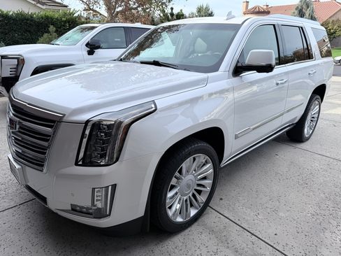 Used 2016 Cadillac Escalade Platinum image 4