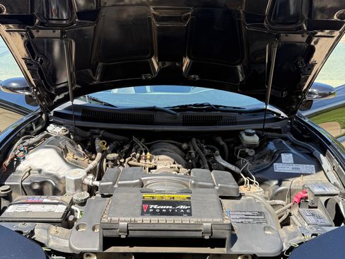 Used 2002 Pontiac Firebird Trans Am RWD image 10