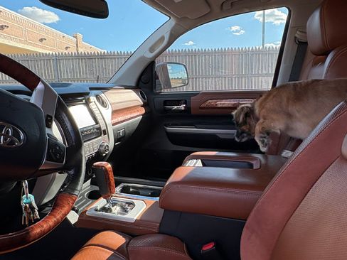 Used 2019 Toyota Tundra 1794 Edition image 12