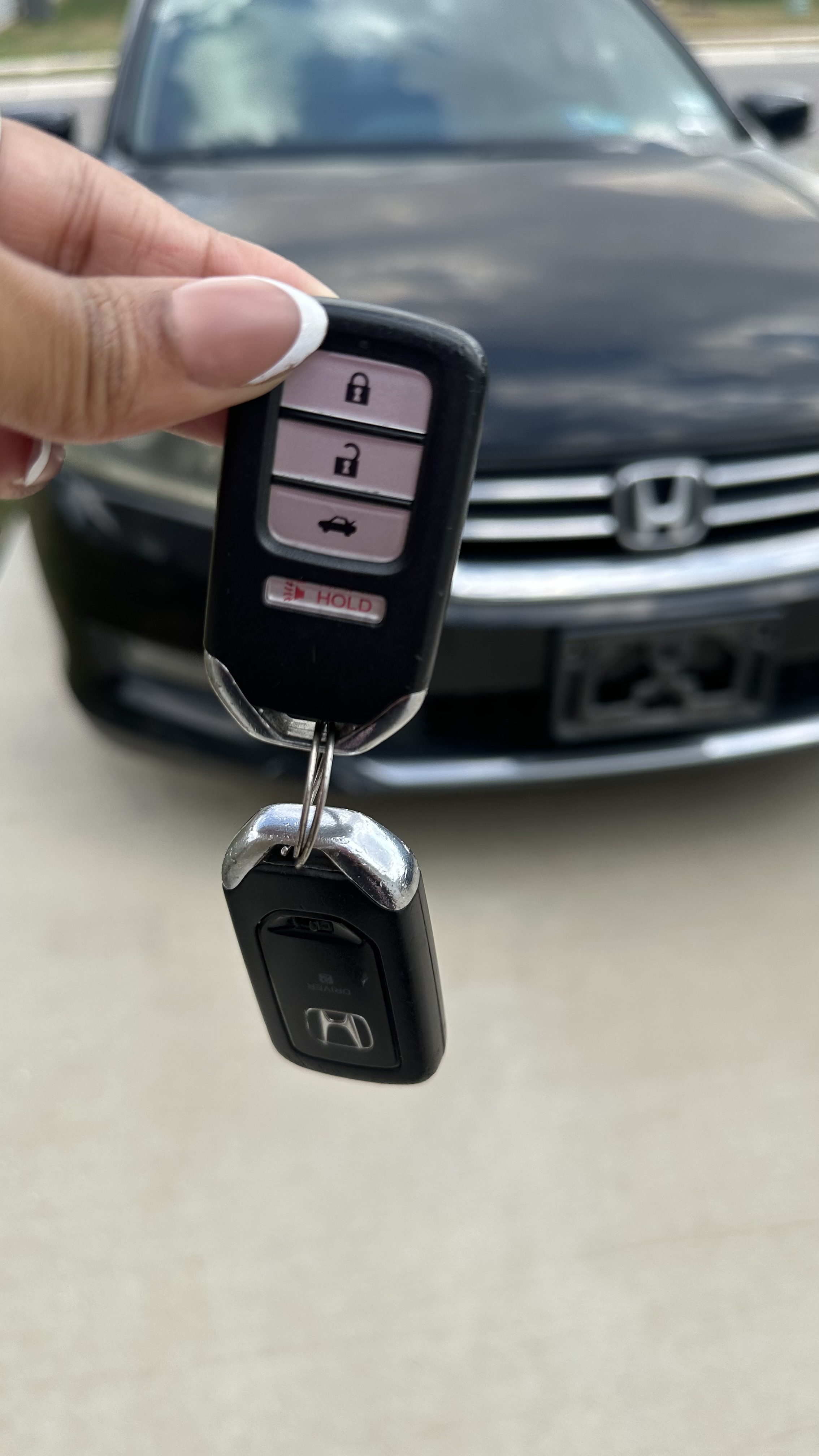 Used 2014 Honda Accord EX-L image 14