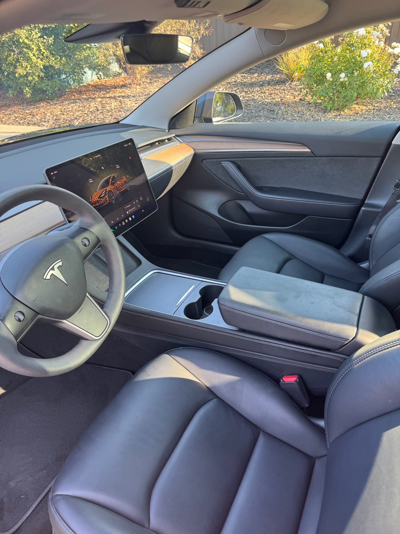 Used 2023 Tesla Model 3 Standard Range RWD image 5