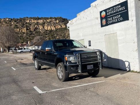 Used 2009 Ford F150 Platinum image 17