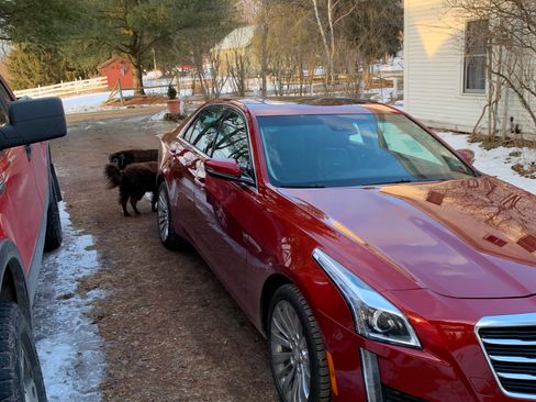 Used 2015 Cadillac CTS Luxury image 4