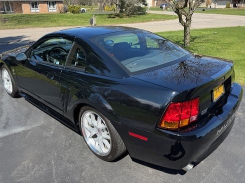 Used 1999 Ford Mustang Cobra image 9