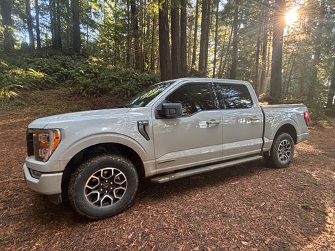 Used 2023 Ford F150 XLT w/ Equipment Group 302A High image 2