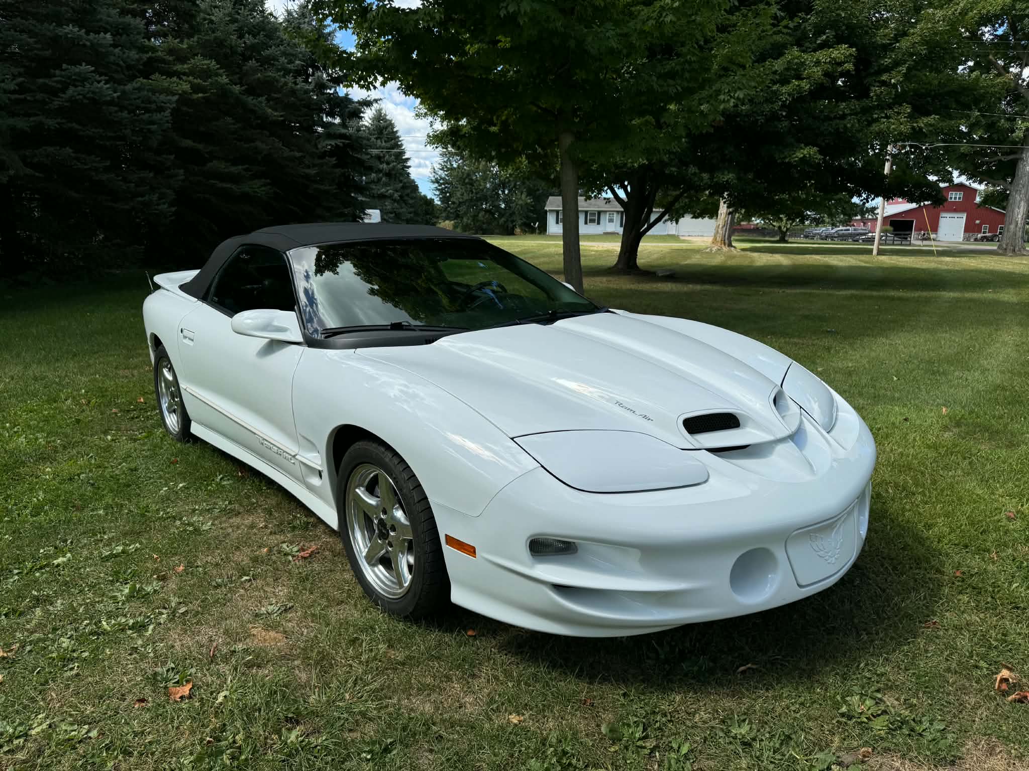Used 2000 Pontiac Firebird Trans Am RWD image 2