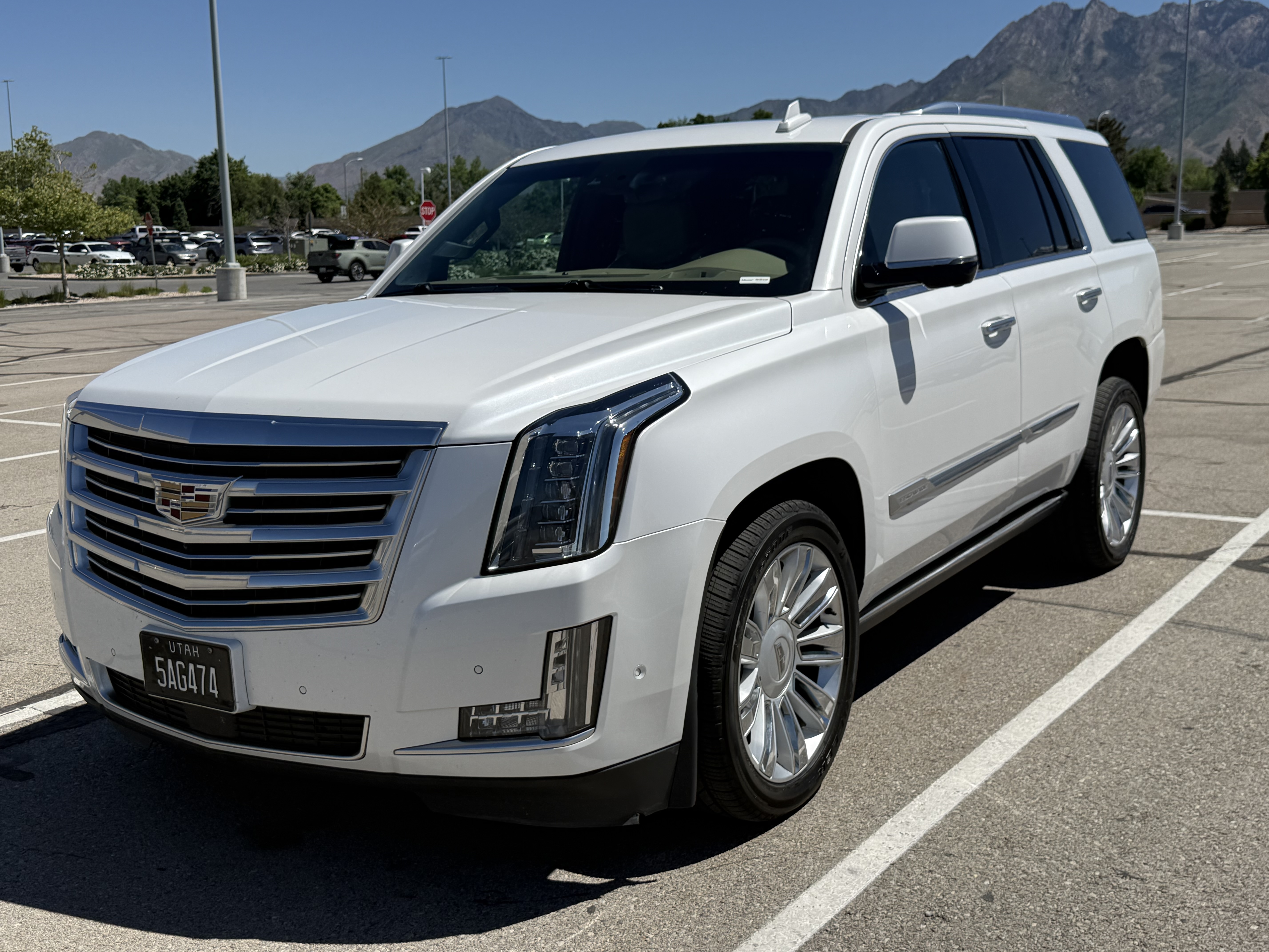 Used 2018 Cadillac Escalade Platinum AWD/4WD image 1