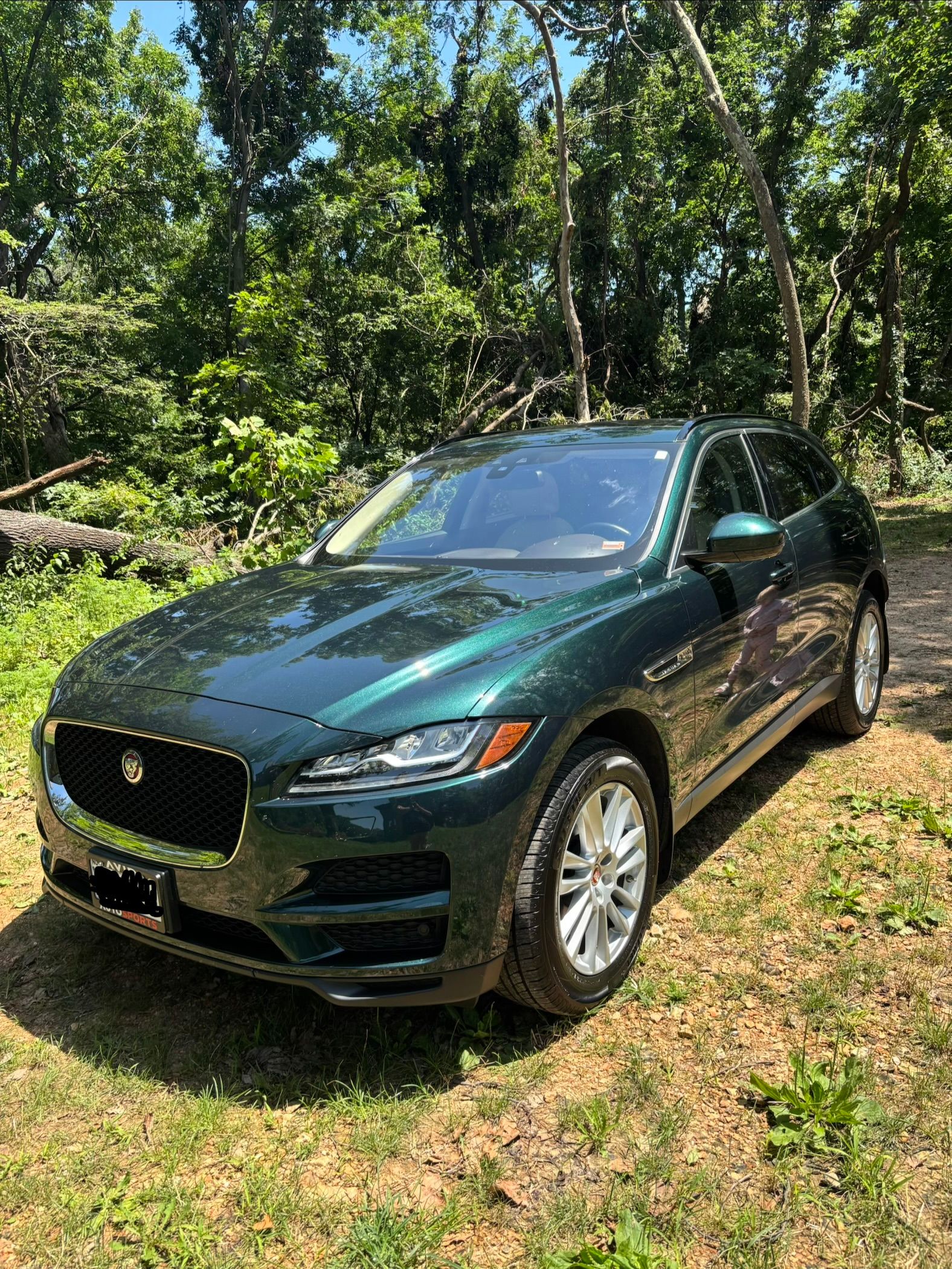 Used 2018 Jaguar F-PACE Prestige AWD/4WD image 1
