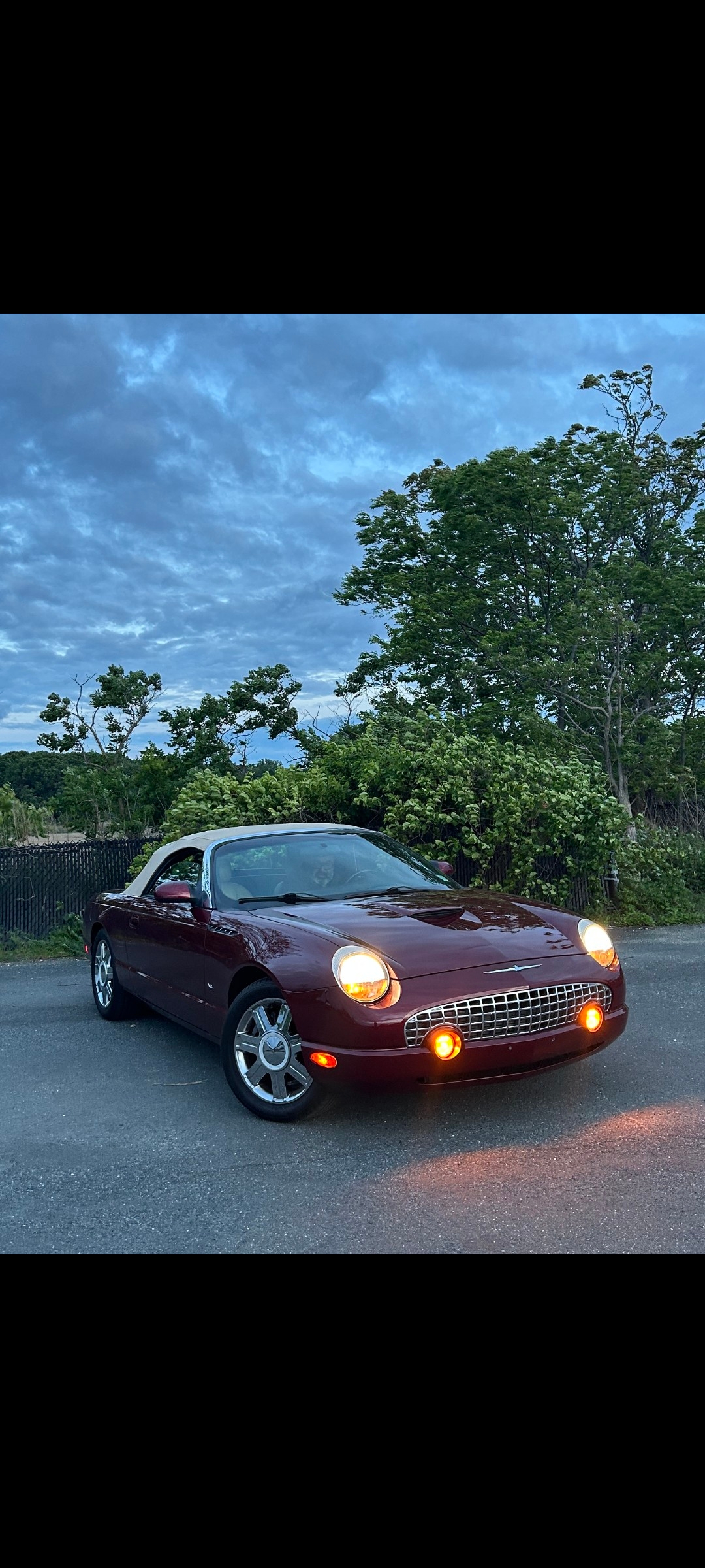 Used 2004 Ford Thunderbird RWD image 2