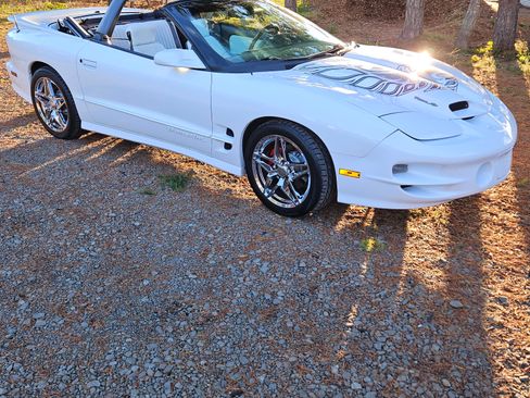 Used 1999 Pontiac Firebird Trans Am image 4