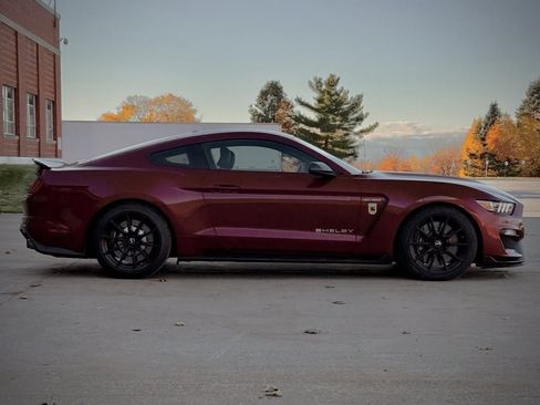 Used 2017 Ford Mustang Shelby GT350 image 11