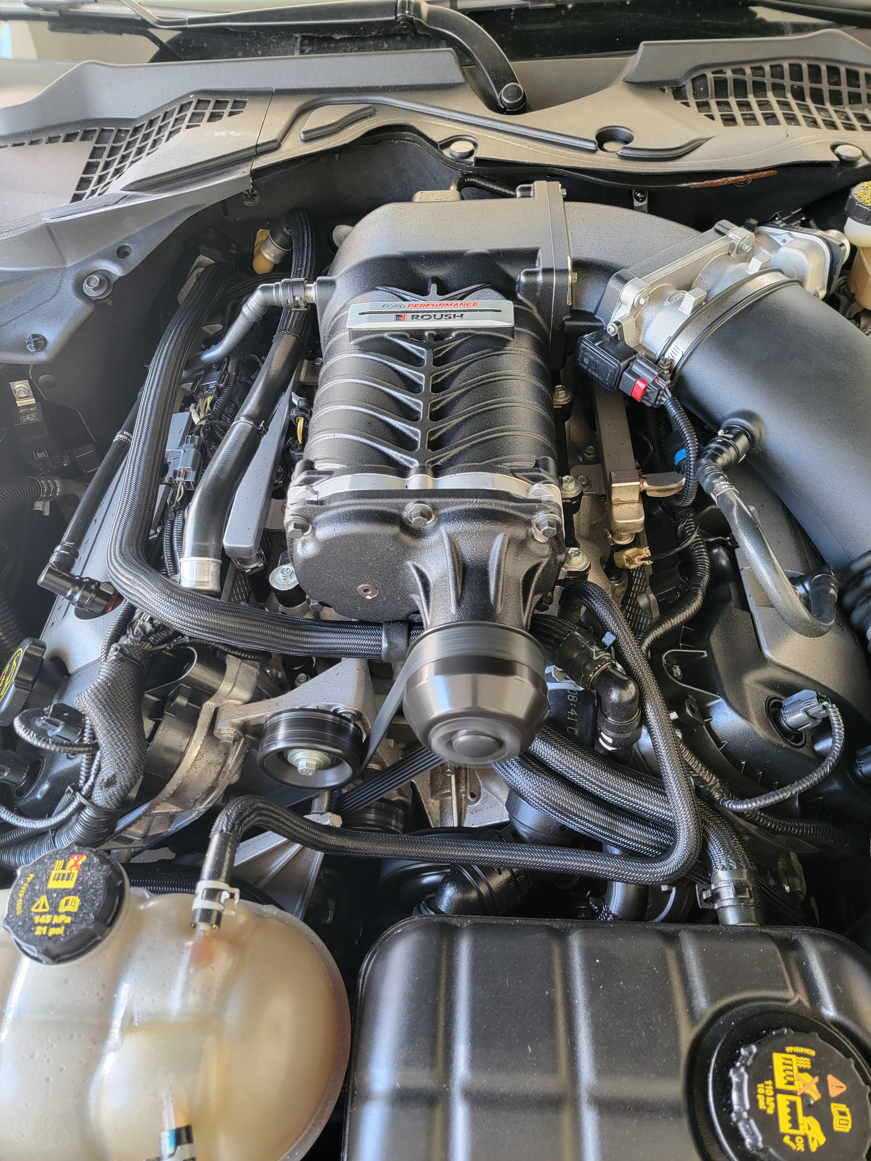 Used 2017 Ford Mustang GT Premium RWD image 5