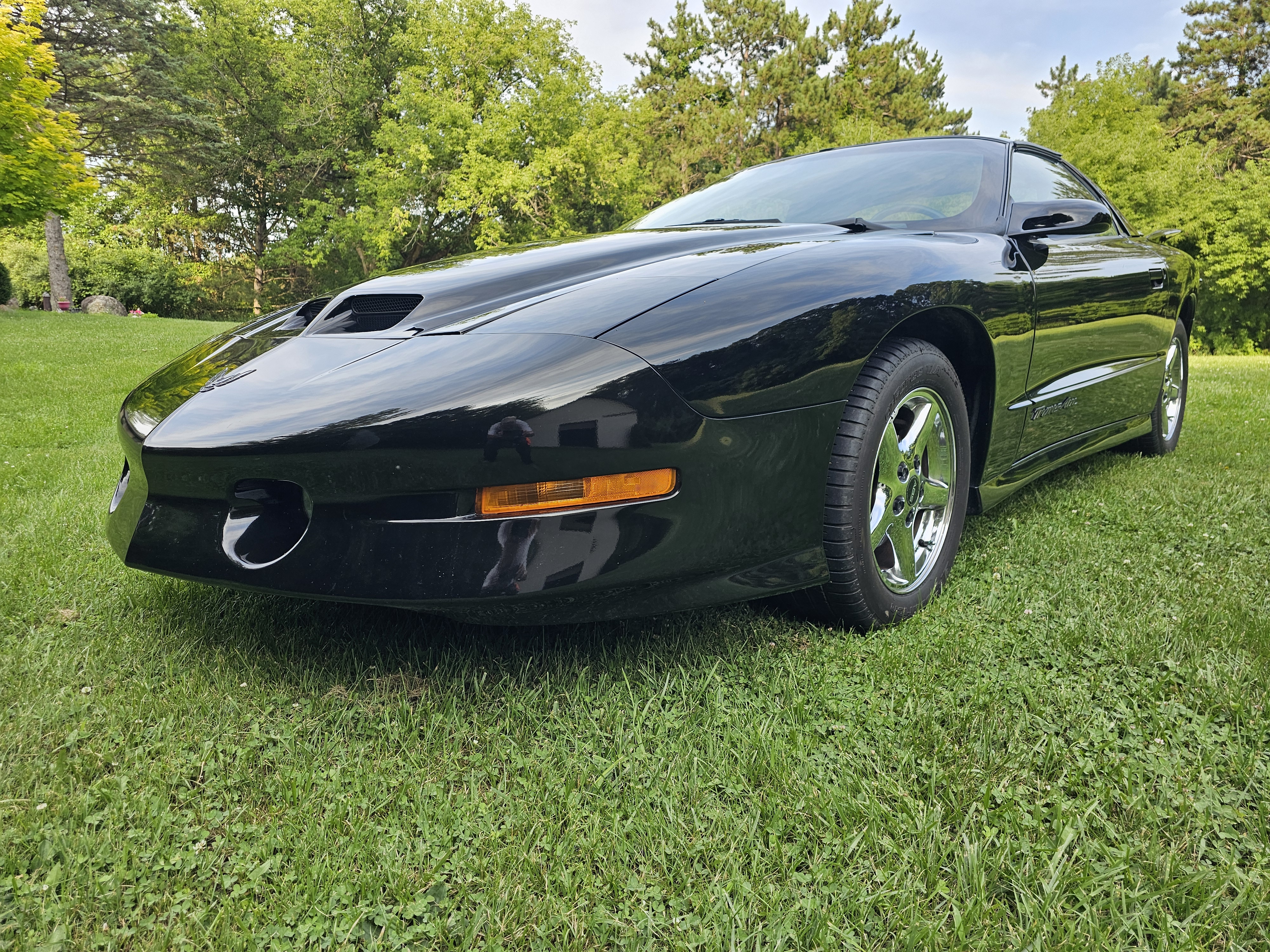 Used 1997 Pontiac Firebird Trans Am RWD image 1